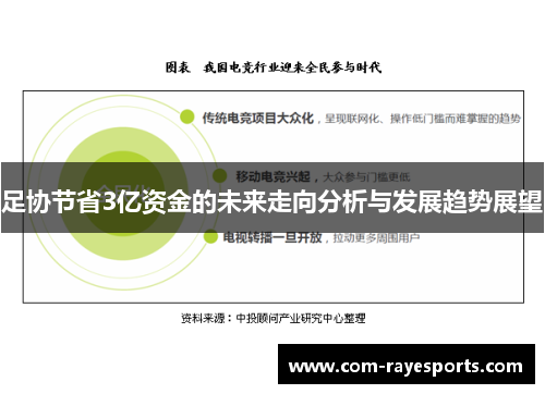 足协节省3亿资金的未来走向分析与发展趋势展望 足协节省3亿资金的未来走向分析与发展趋势展望