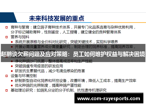 赵鹏谈欠薪问题及应对策略：员工如何维护权益与解决困境