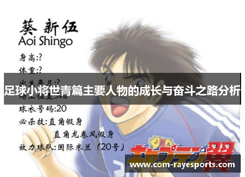 足球小将世青篇主要人物的成长与奋斗之路分析 足球小将世青篇主要人物的成长与奋斗之路分析